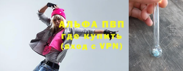 ГАЛЛЮЦИНОГЕННЫЕ ГРИБЫ Белокуриха