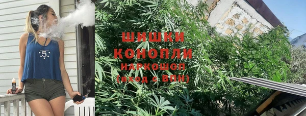 ГАЛЛЮЦИНОГЕННЫЕ ГРИБЫ Белокуриха
