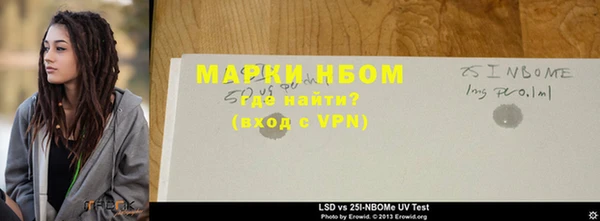 ГАЛЛЮЦИНОГЕННЫЕ ГРИБЫ Белокуриха