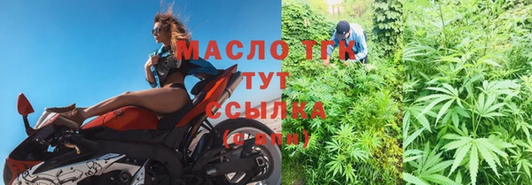 ГАЛЛЮЦИНОГЕННЫЕ ГРИБЫ Белокуриха