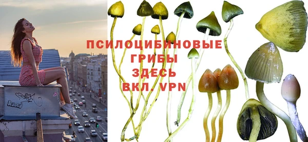 спайс Белоозёрский
